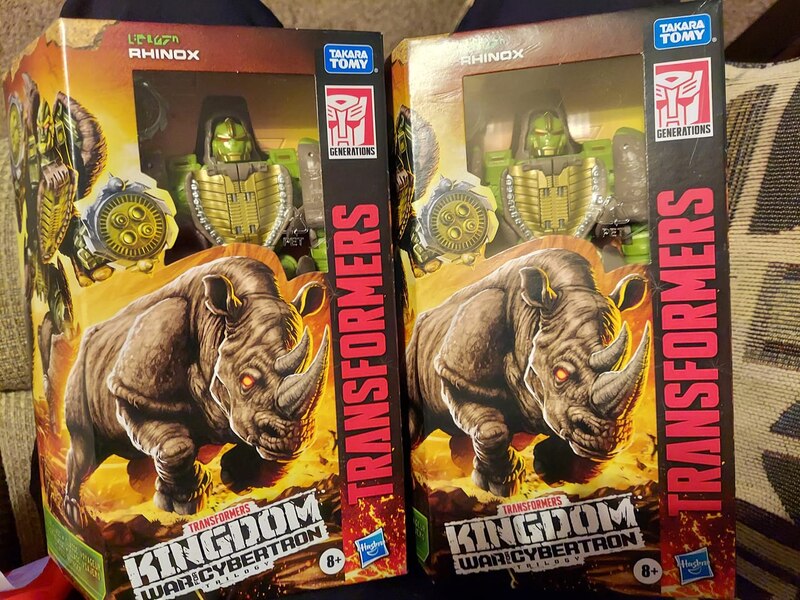 Kingdom Rhinox Found In Arizona (1 of 1)